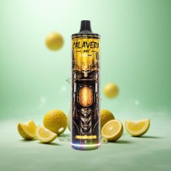 Ananas Is JNR Calavera 11000 Puffs Opladningsbar Type-C