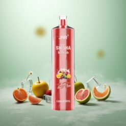 Bær Is JNR Shisha Hookah 12000 Puffs 24ml