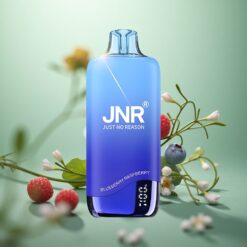 Blåbær Hindbær JNR Rainbow 10500 Puffs 18ml Opladningsbart Engangs Vape