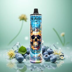 Blåbær Is JNR Calavera 11000 Puffs Genbrugs Vape med Type-C Opladning og 850 mAh Batteri