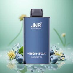 Blåbær Is JNR Mega Box 25000 Puffs Type-C Hurtigopladning