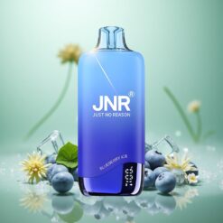 Blåbær Is JNR Rainbow 10500 Puffs 18ml E-væske Tank