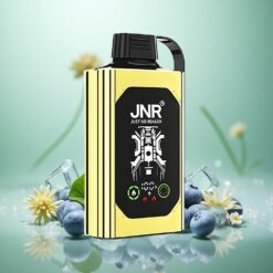 Blåbær Is JNR Shisha Hookah Box 20500 Puffs Dual Mesh Coil & Dual Core