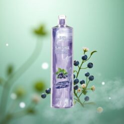 Blåbær Mynte JNR Shisha Hookah 12000 Puffs 24ml Type-C Hurtigopladning