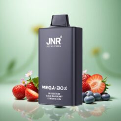 Blåbær Sur Hindbær Jordbær JNR Mega Box 25000 Puffs Type-C Hurtigopladning