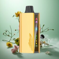 Brombær Is JNR Cruiser 12000 Puffs Indbygget 3500 mAh Batteri
