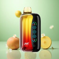 Fersken Mango Ananas JNR Flex Ice 21000 Puffs Justerbar Is