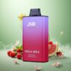 Hindbær Vandmelon JNR Mega Box 25000 Puffs Type-C Hurtigopladning