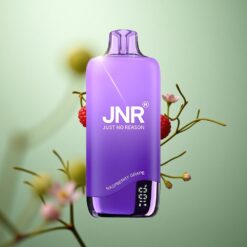 Hindbær Vindrue JNR Rainbow 10500 Puffs Genanvendelig Vape 18ml Tank