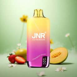 Jordbær Mango JNR Rainbow 10500 Puffs Opladbar med USB Type-C
