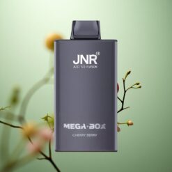 Kirsebær-Bær JNR Mega Box 25000 Puffs Type-C Hurtigopladning