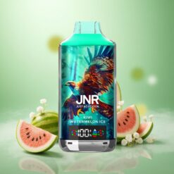 Kiwi Vandmelon Is JNR Falkon X 18000 Puffs 24ml Dual Mesh Coil