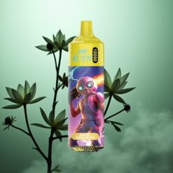 Sort Drage Is JNR Alien 10000 Puffs med 20ml E-væske og Type-C Hurtigopladning
